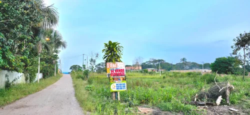 frontal-h-01